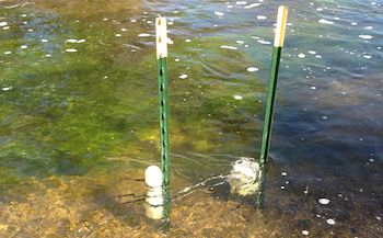 Our CLAM water sampling equipment supports 1 to 36 hour extraction events