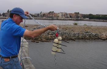 Deploying the CLAM