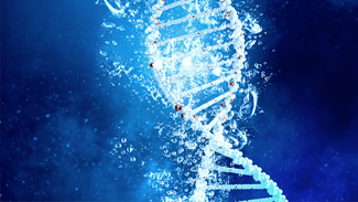 environmental DNA sampling wiht the CLAM